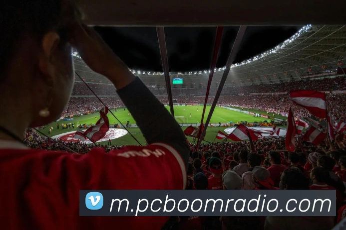 奖项证书